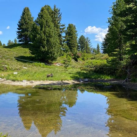 Landhaus Rieder Im Zillertal Lejlighed Aschau Im Zillertal Eksteriør billede