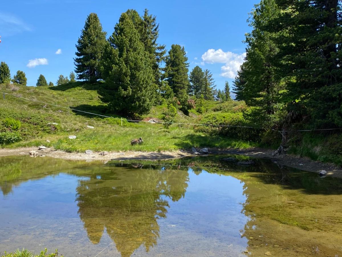 Landhaus Rieder Im Zillertal Lejlighed Aschau Im Zillertal Eksteriør billede